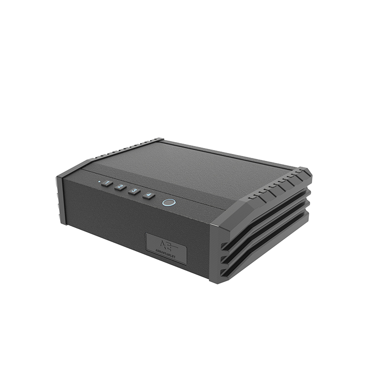 PS0110 顶级双枪生物识别手枪保险箱